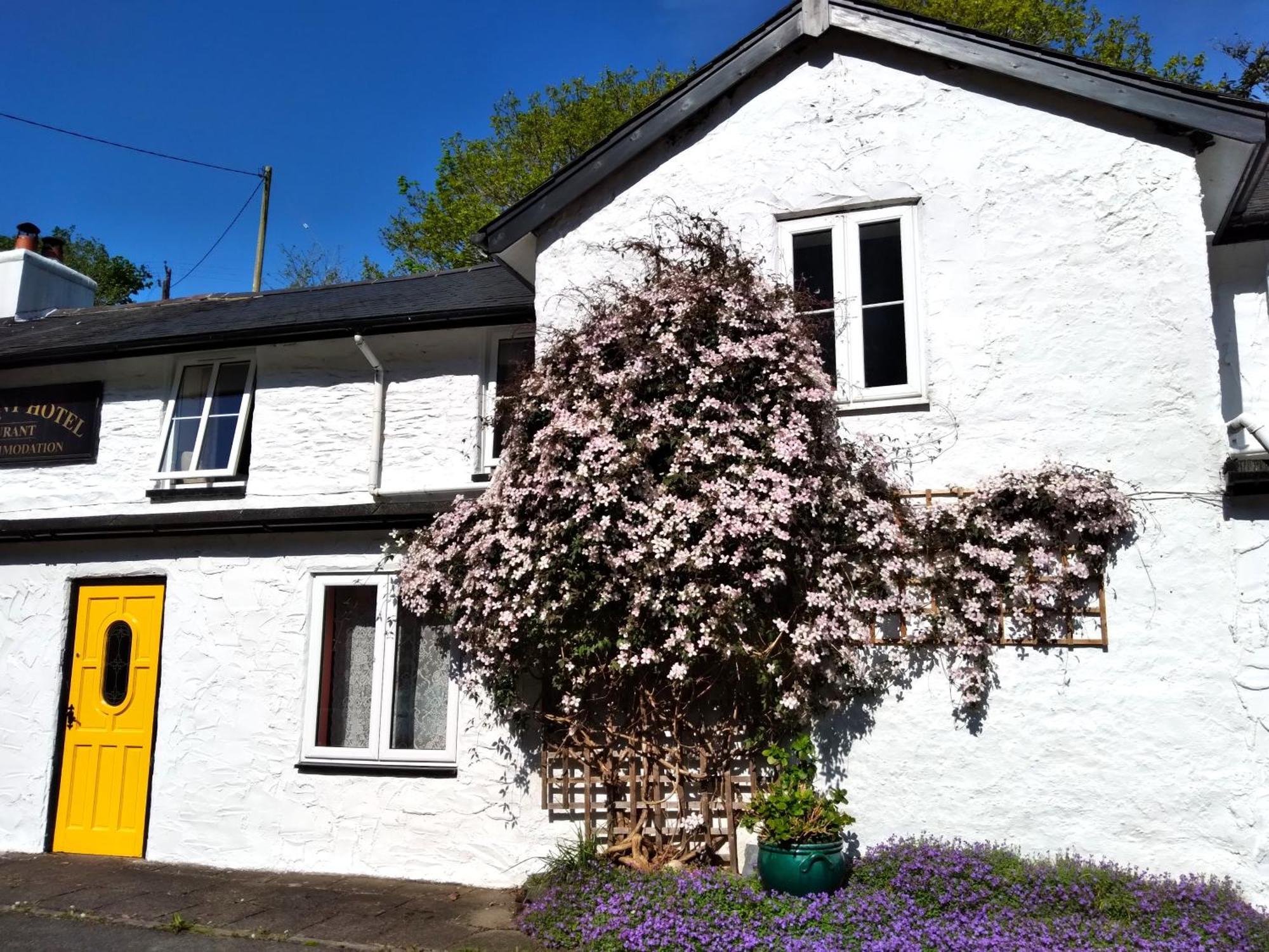 Pen-Y-Bont Hotel Tal-y-llyn Eksteriør bilde